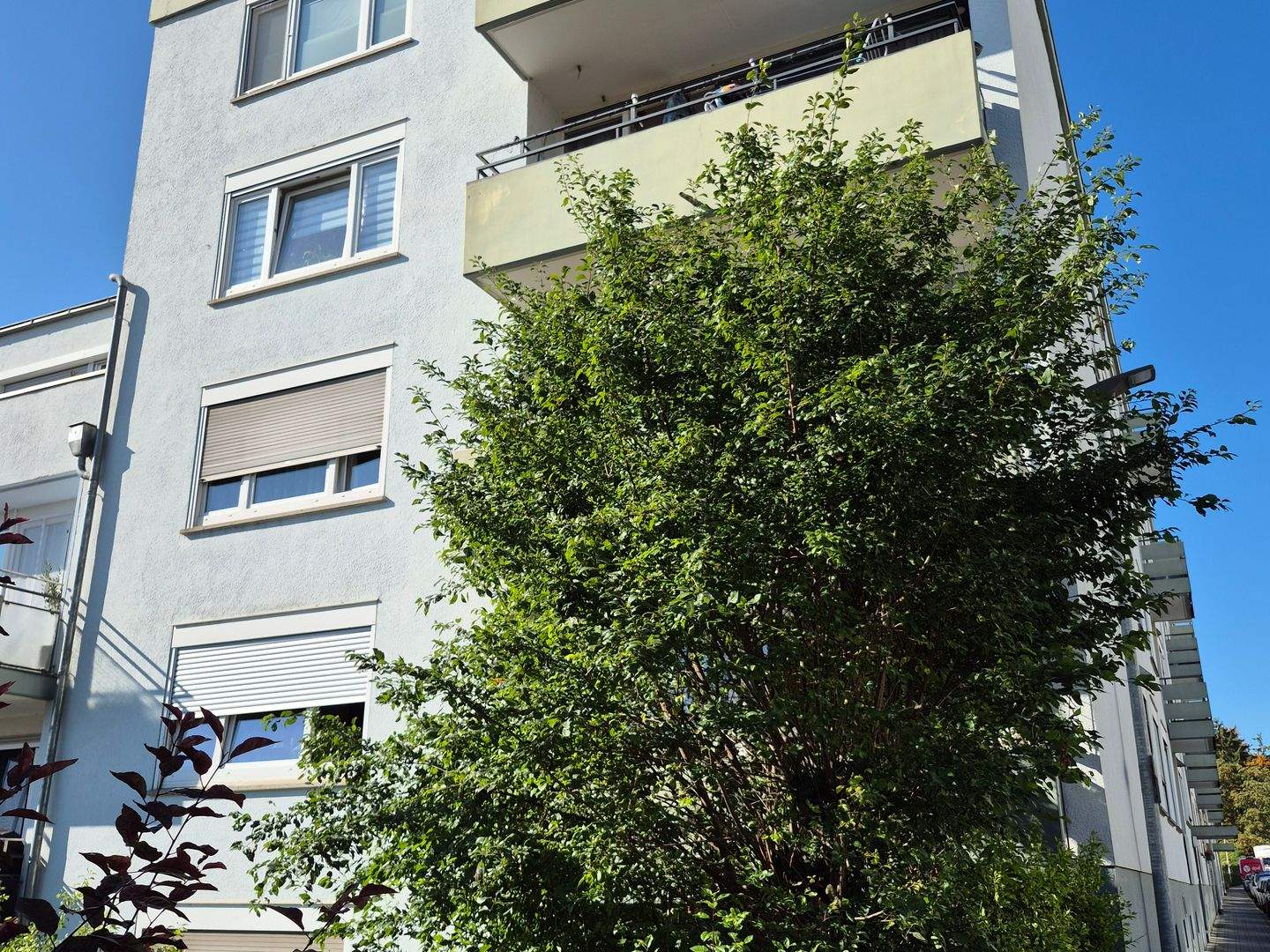 Bild 4