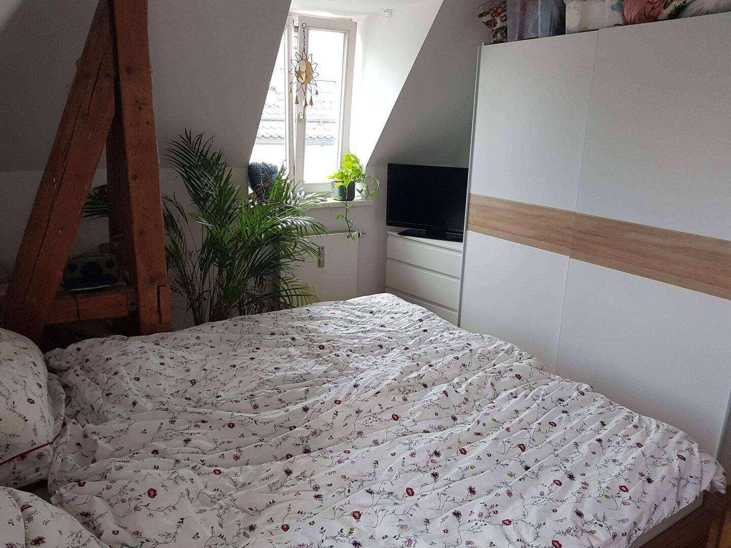 Bild 6