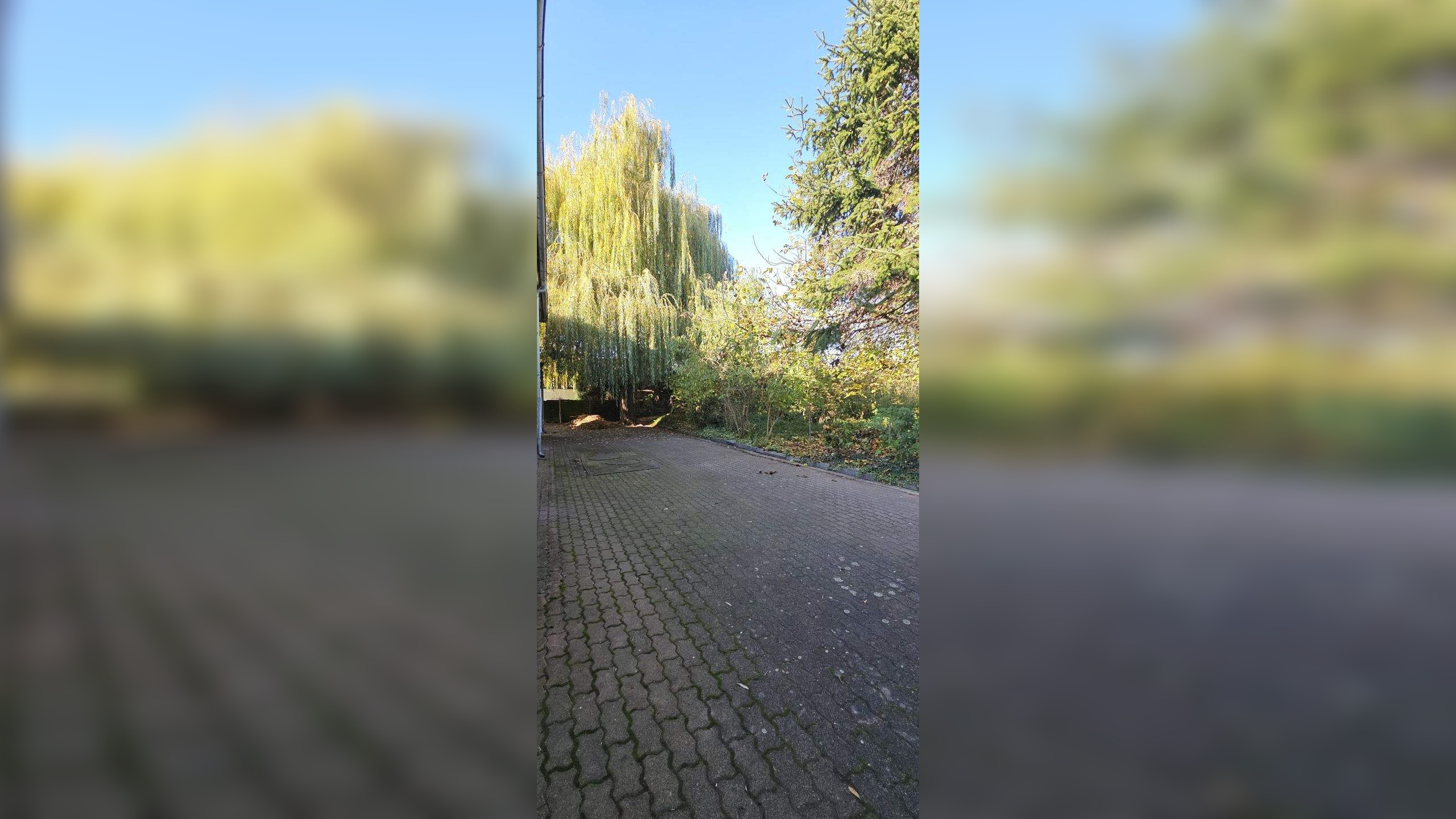 image-69878561