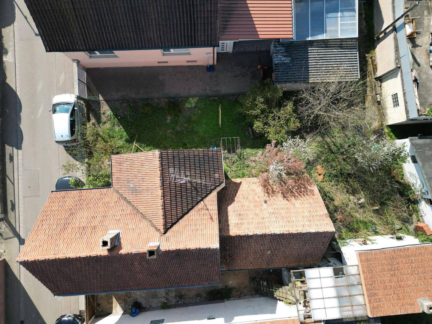 image-61524959