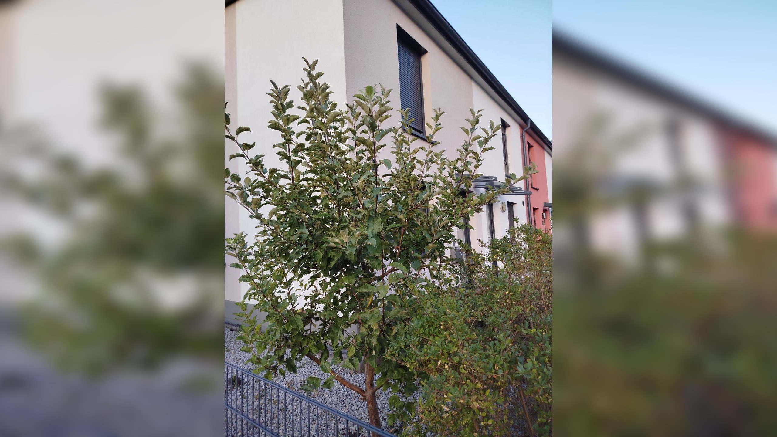 Bild 11