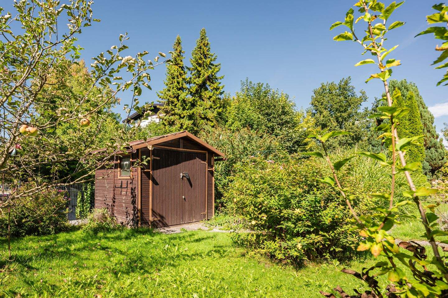 Bild 8