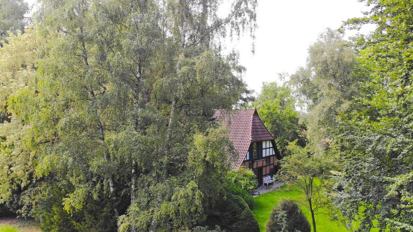 Bild 9