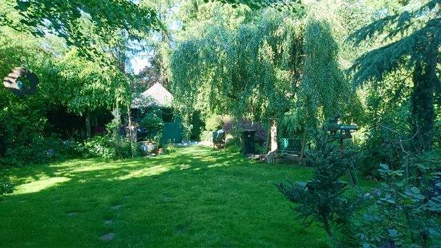 Bild 11