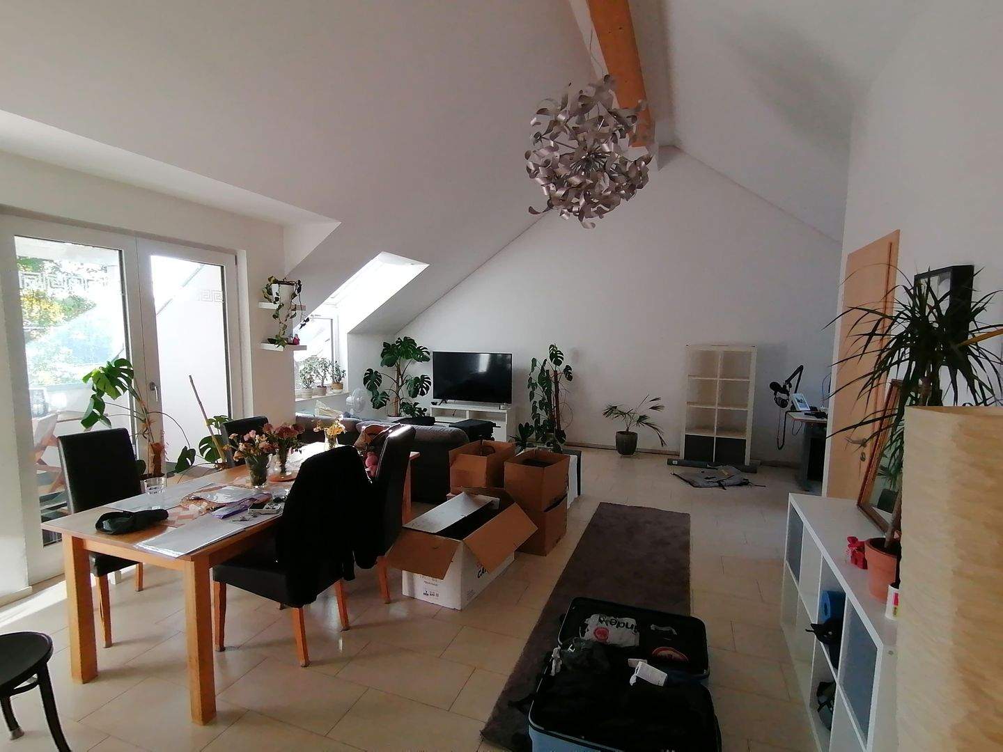 Bild 8