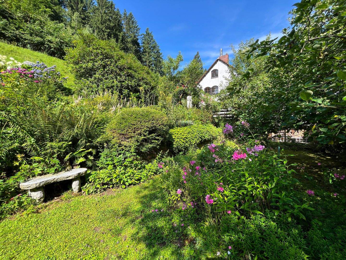 Bild 6