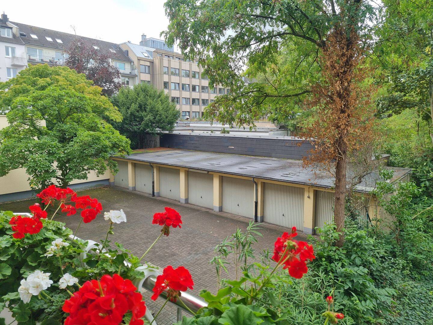 Bild 5