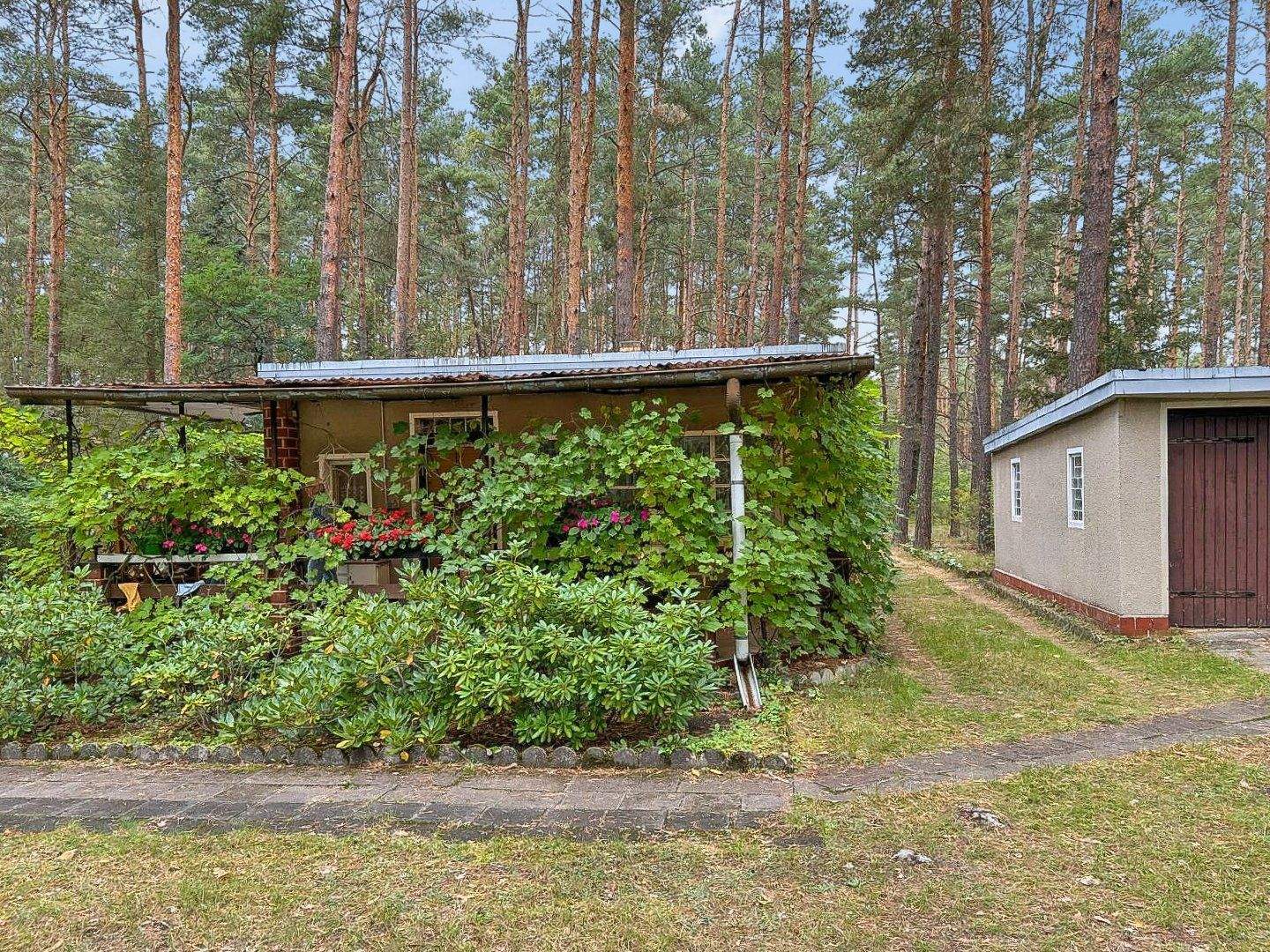 Bild 3