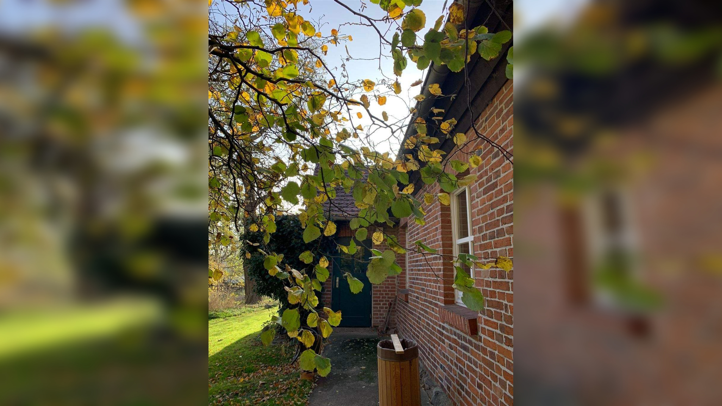 Bild 6