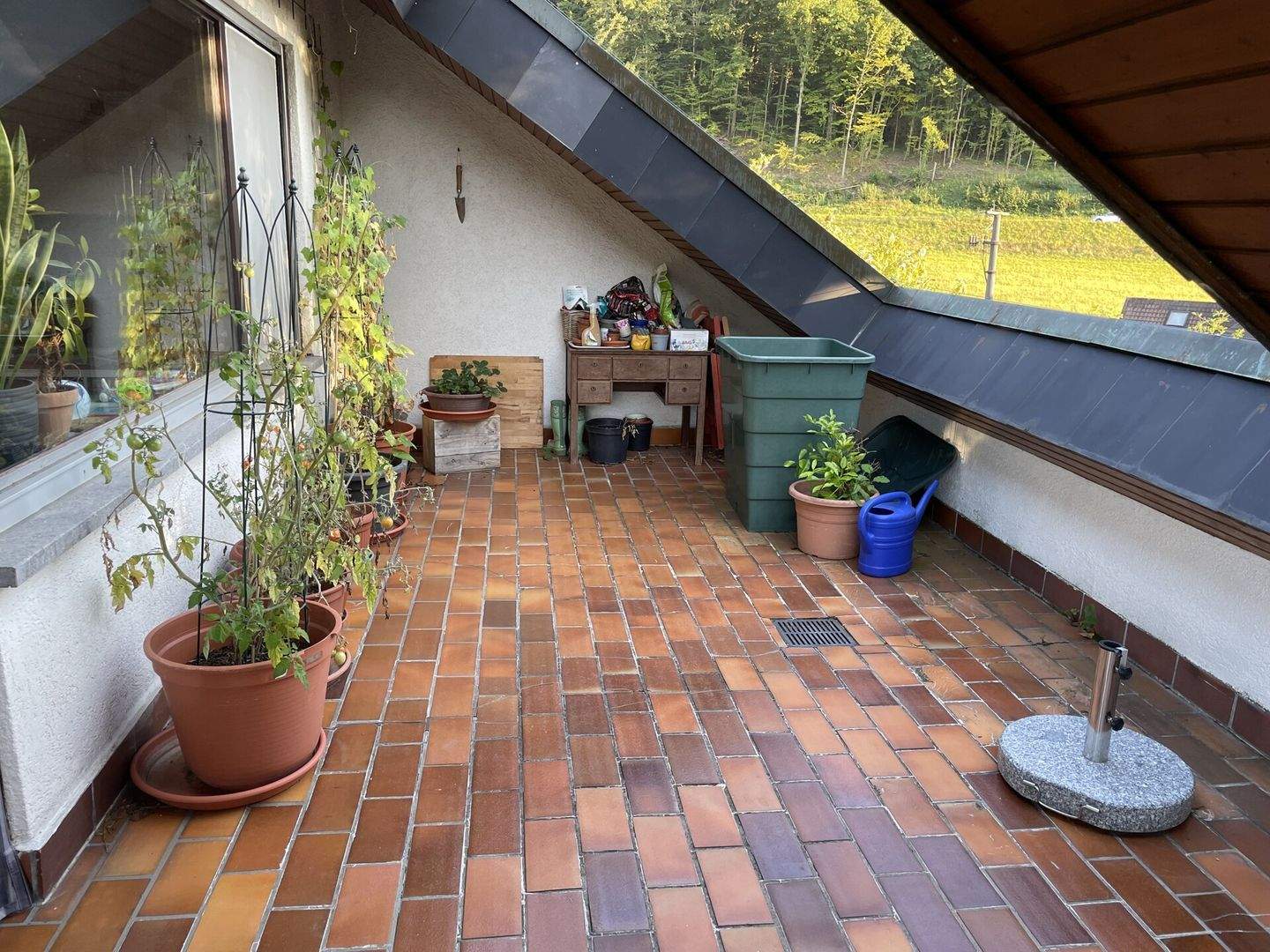 Bild 9