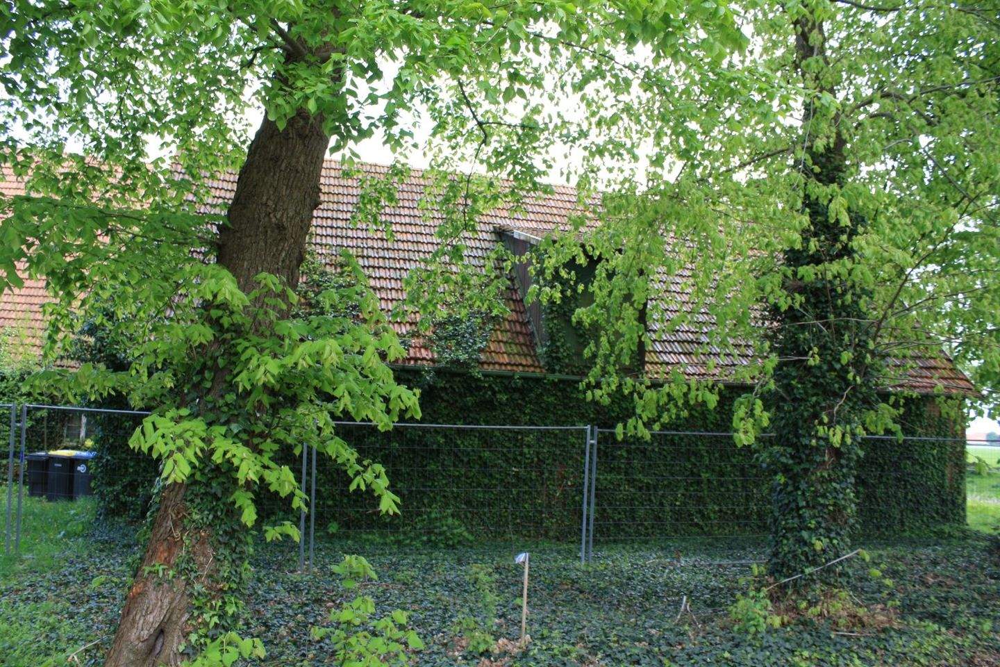 Bild 4