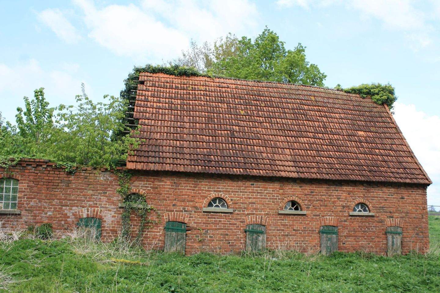 Bild 9