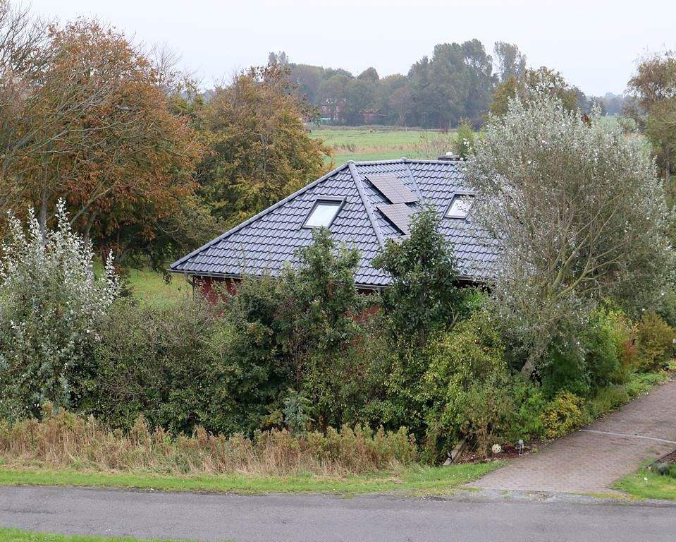 Bild 8