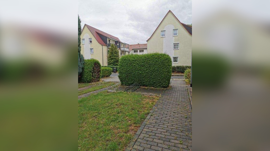 Bild 11