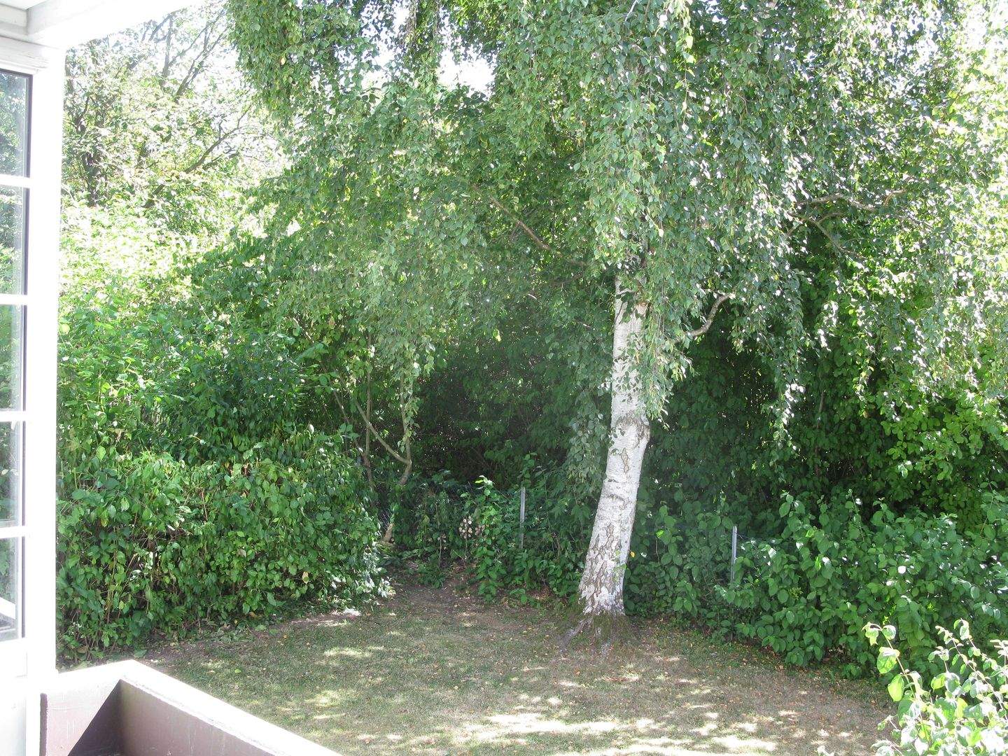 Bild 11