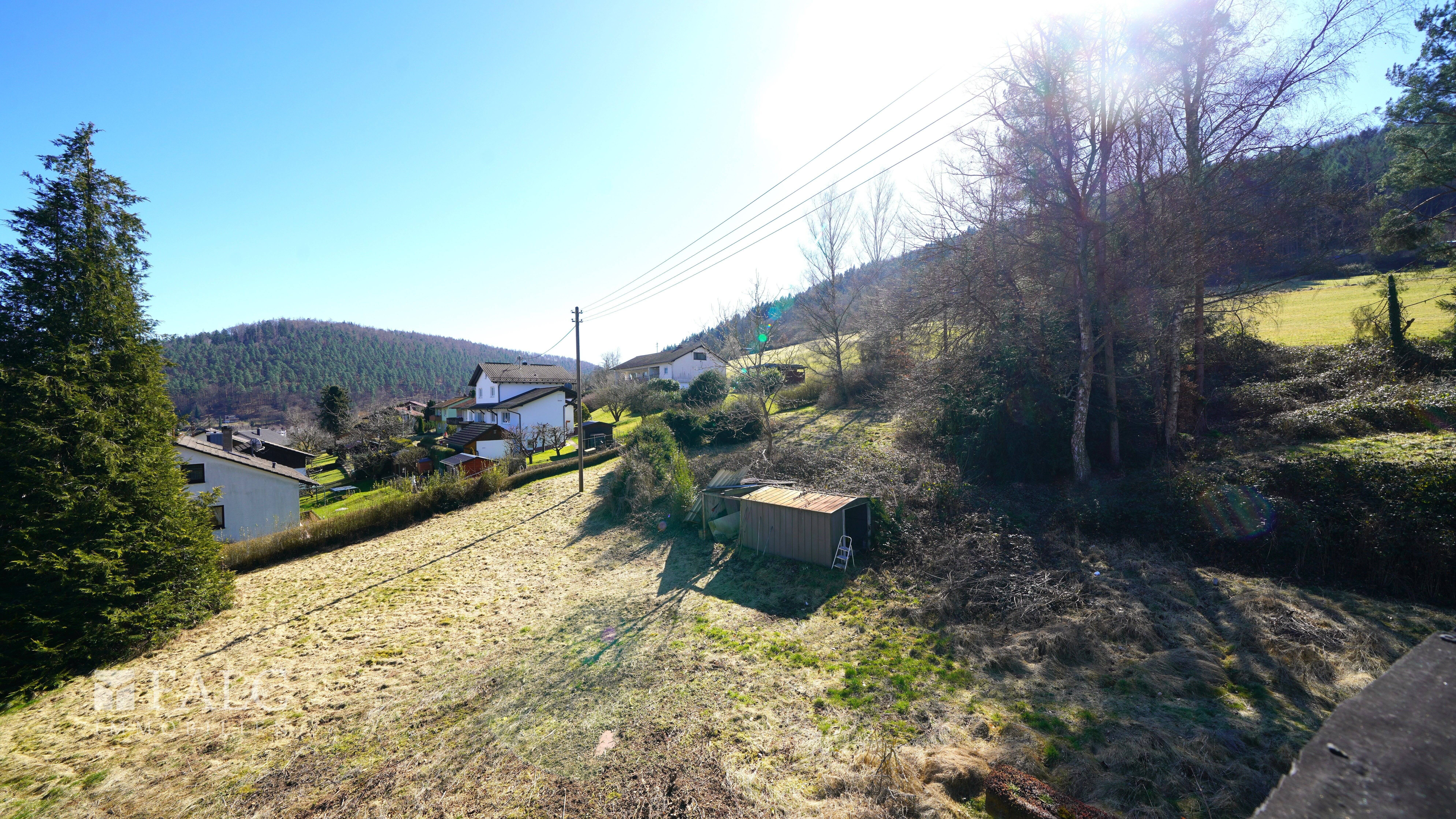 Bild 5