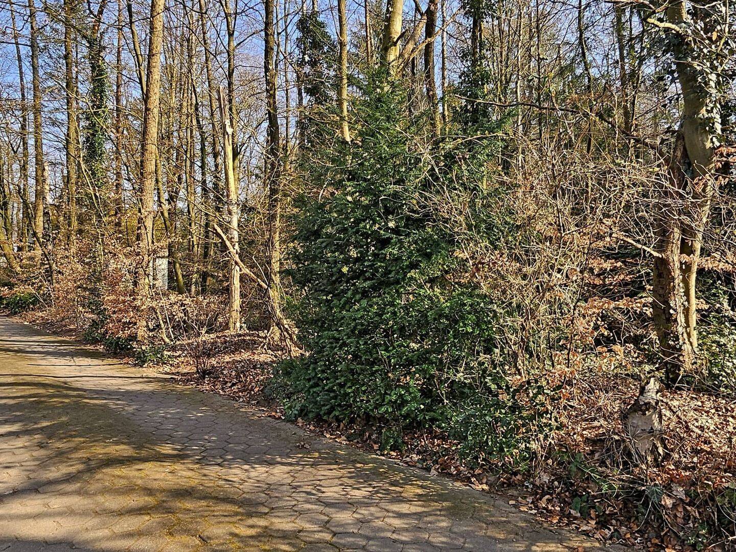 Bild 6