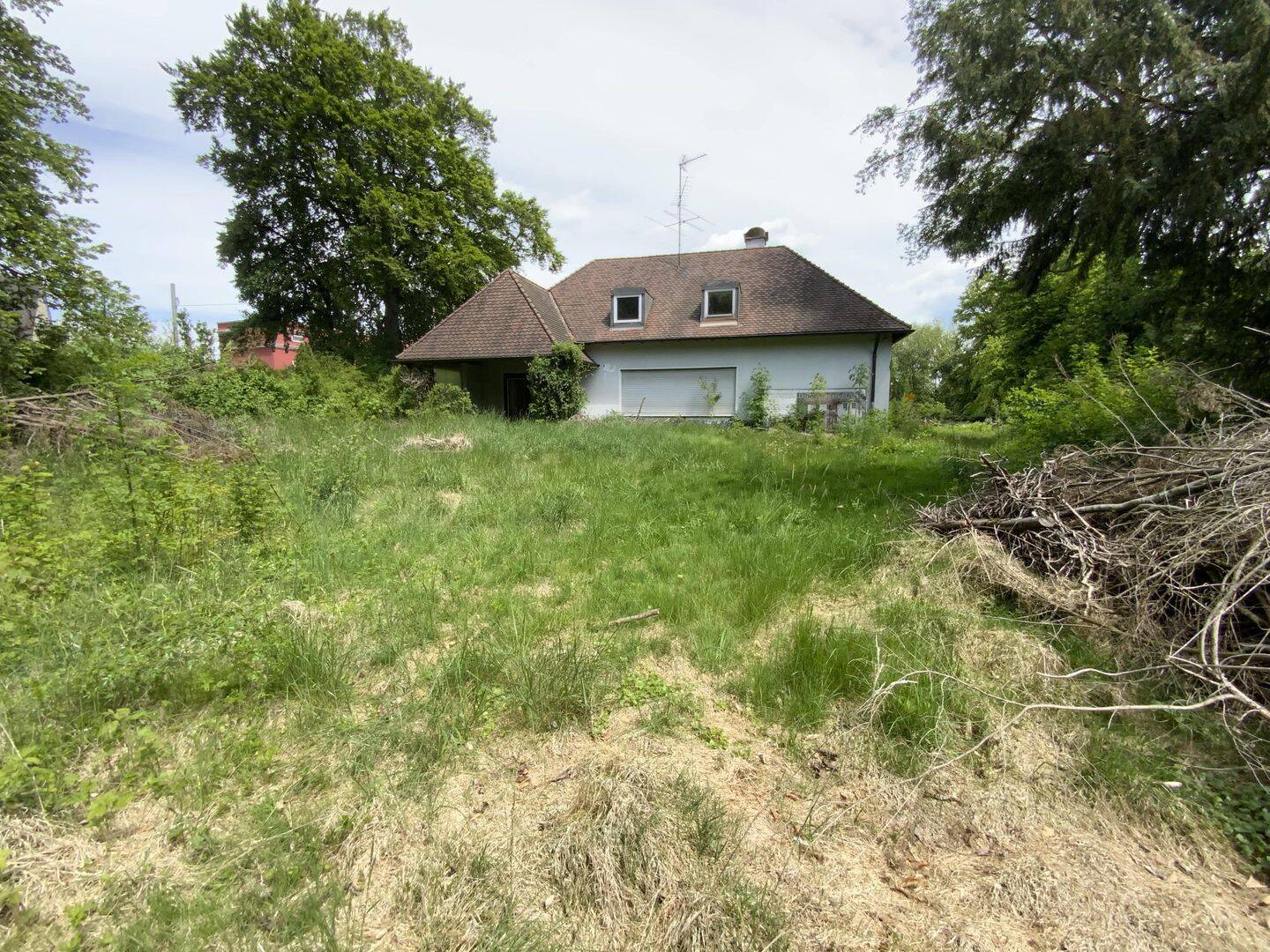 Bild 5