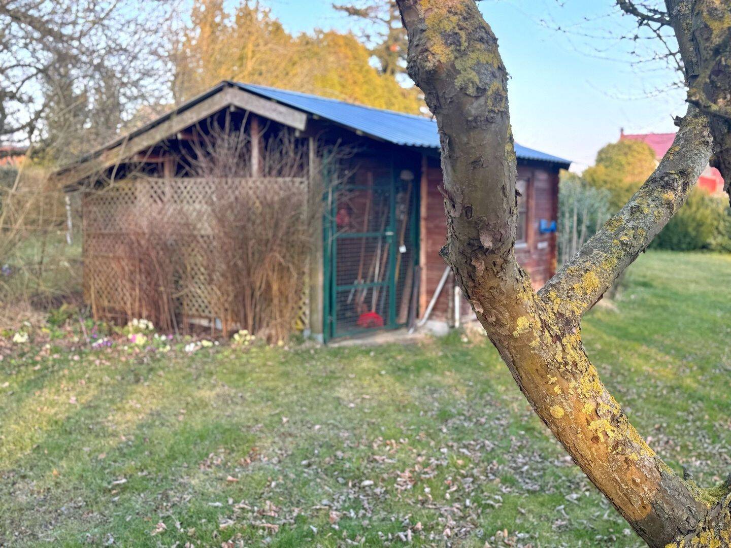 Bild 11