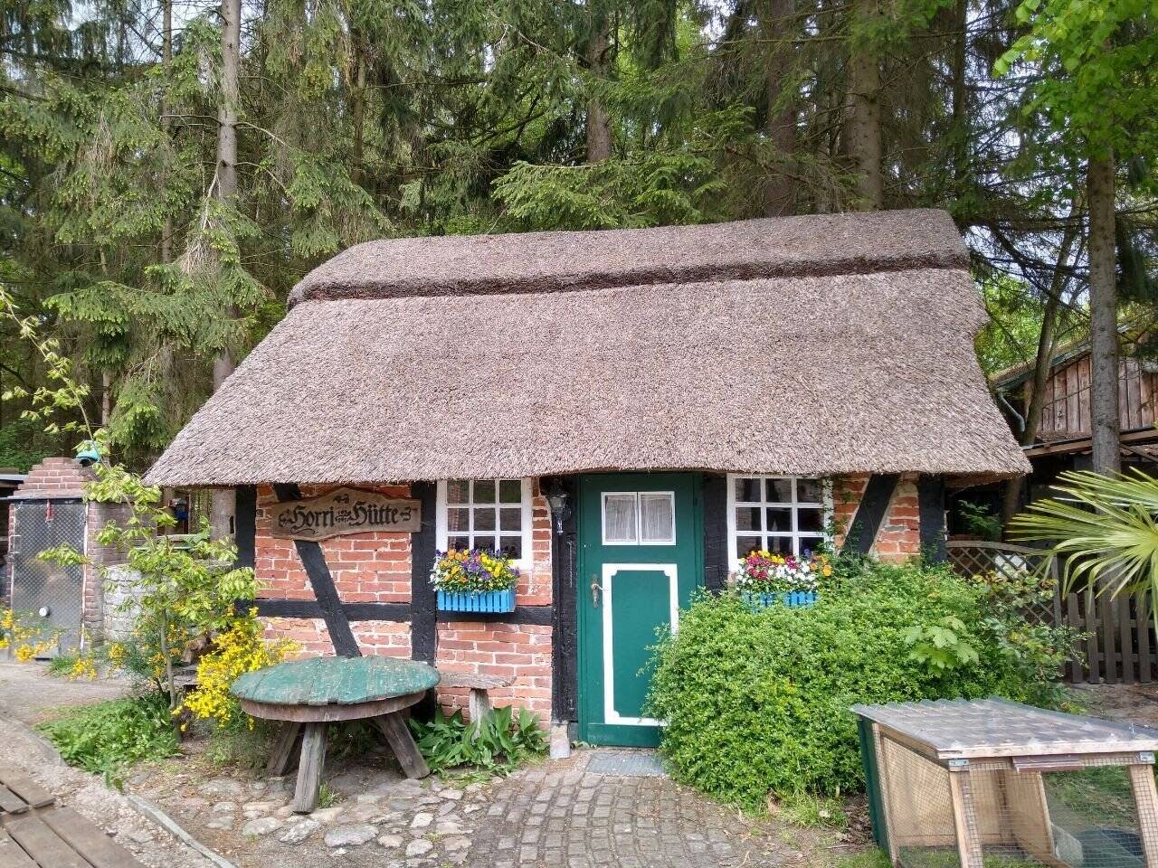 Bild 8