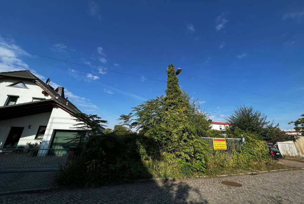 Bild 8
