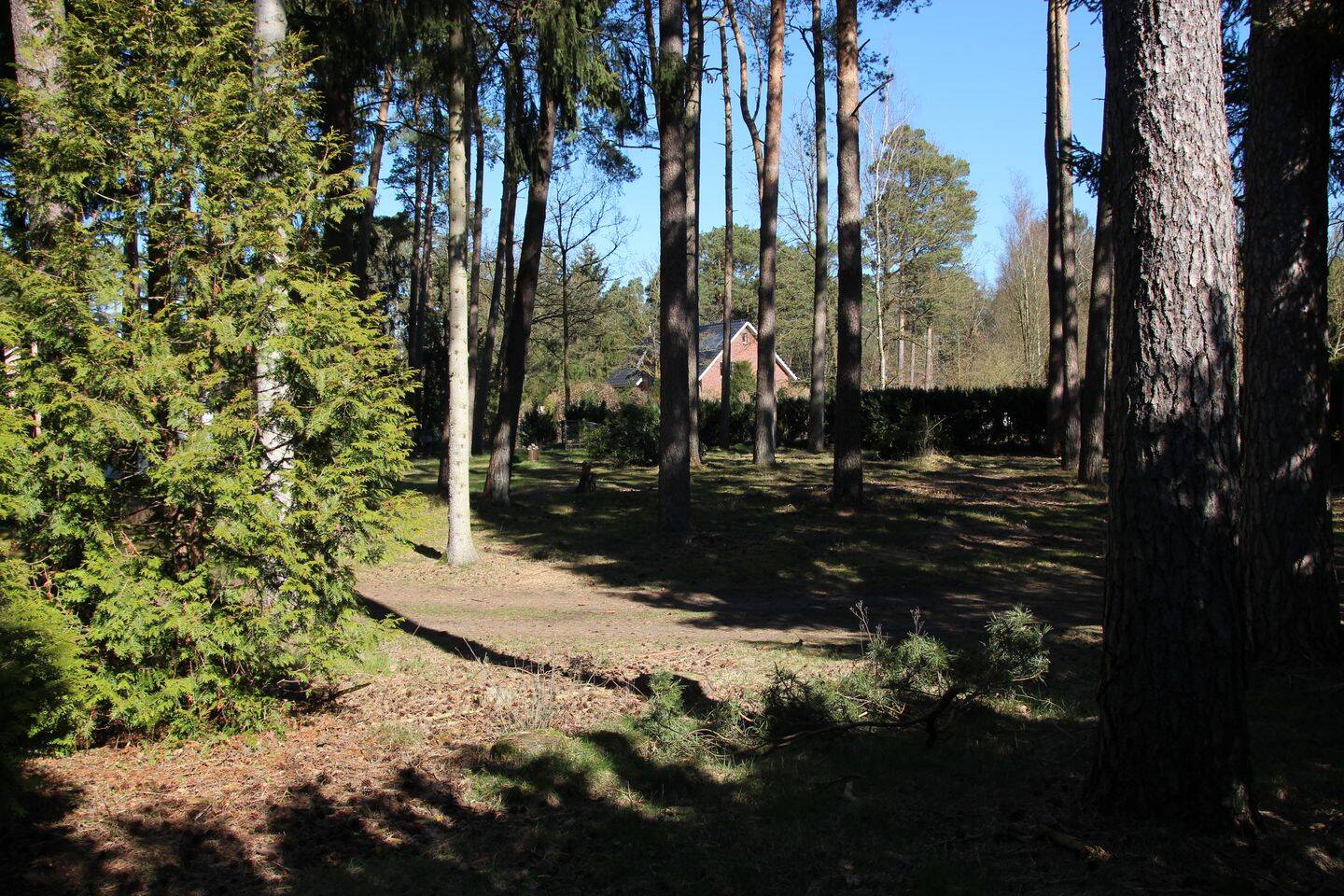 Bild 7