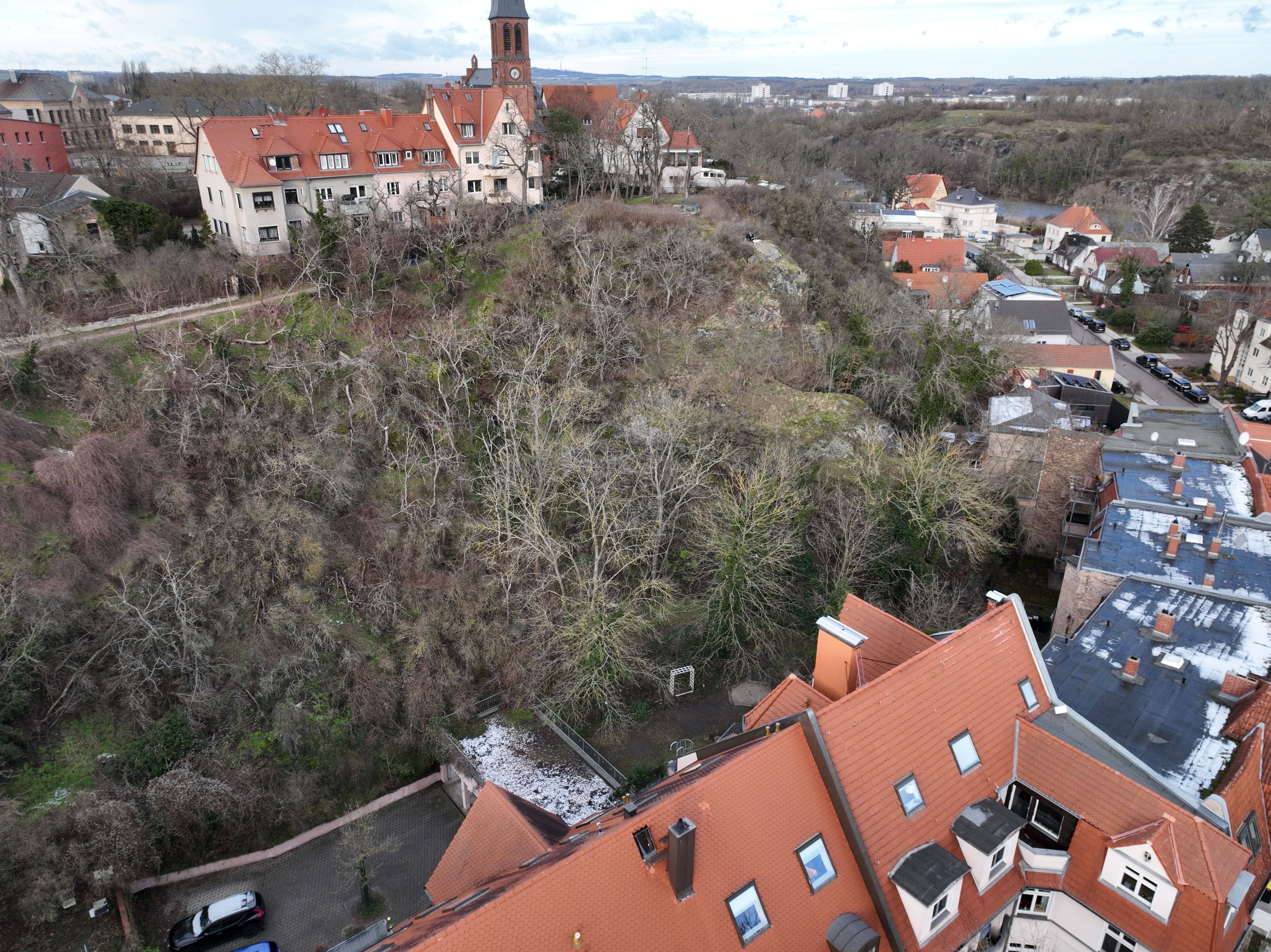 Bild 7