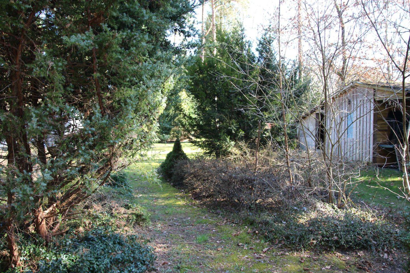 Bild 9