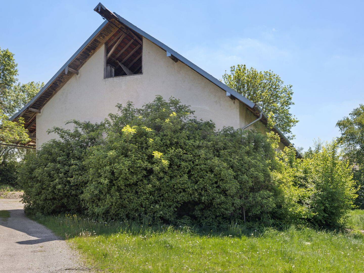 Bild 7