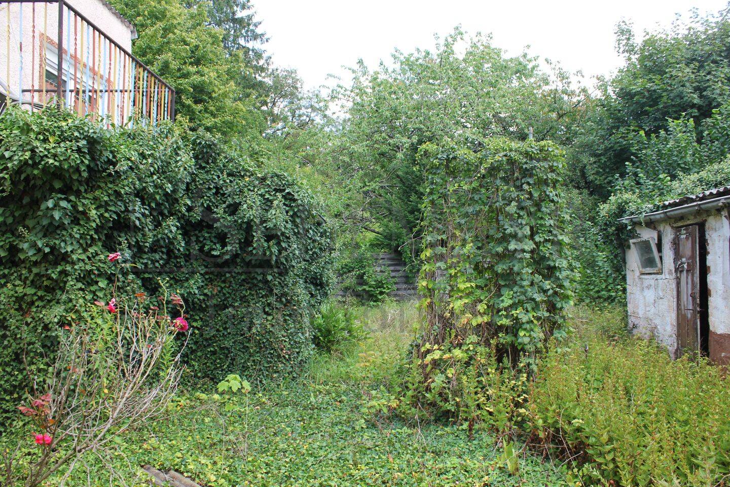 Bild 7