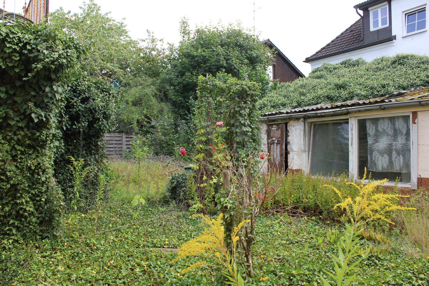 Bild 8