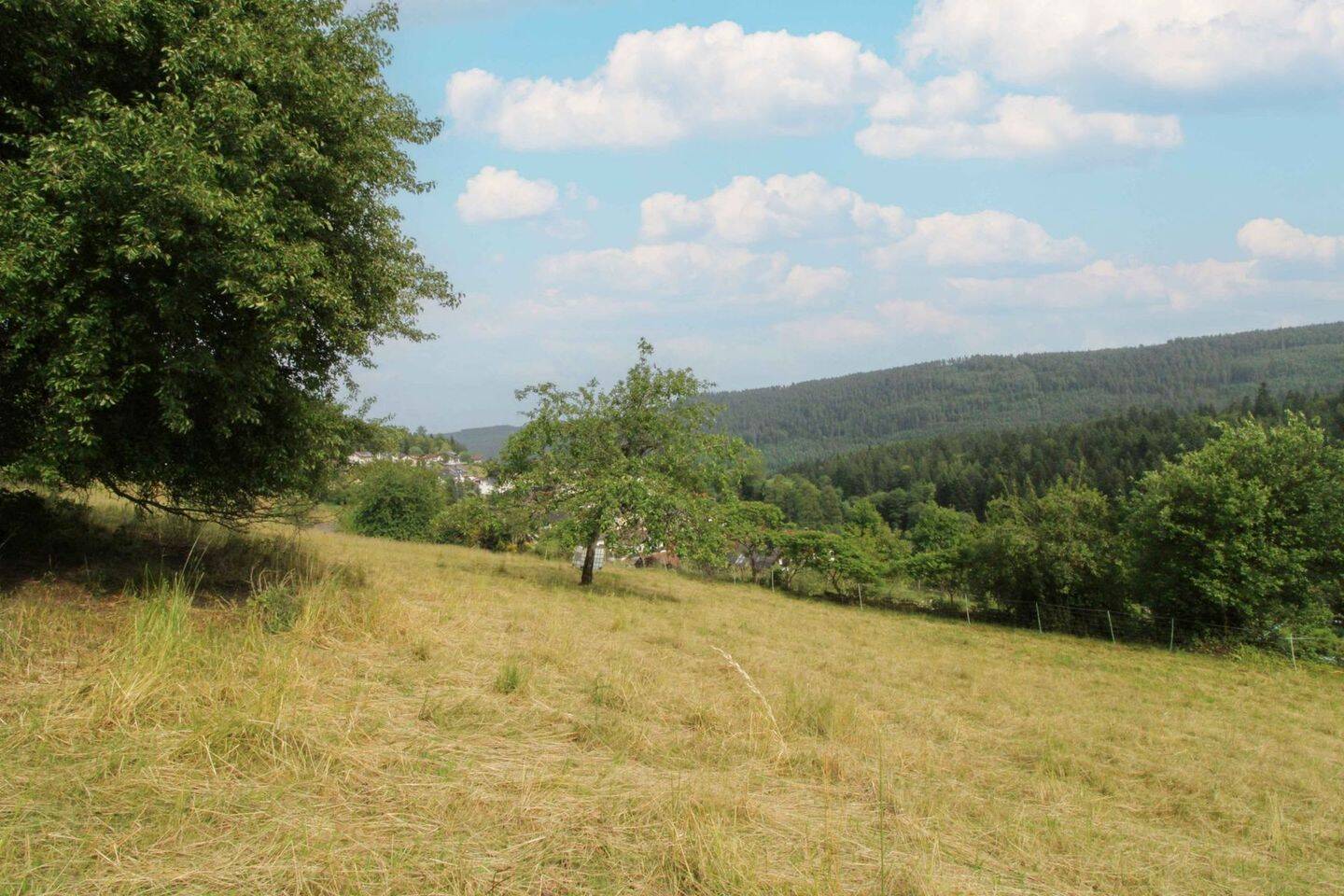 Bild 7