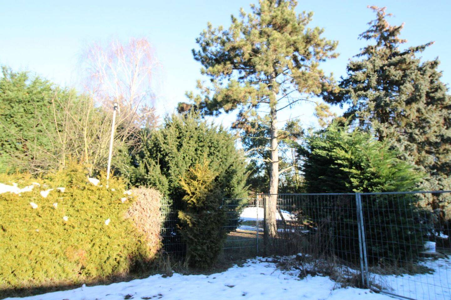 Bild 9