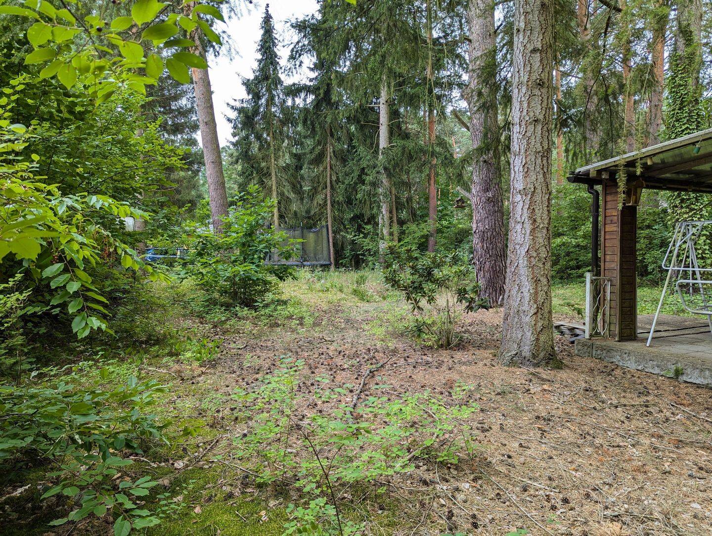 Bild 7