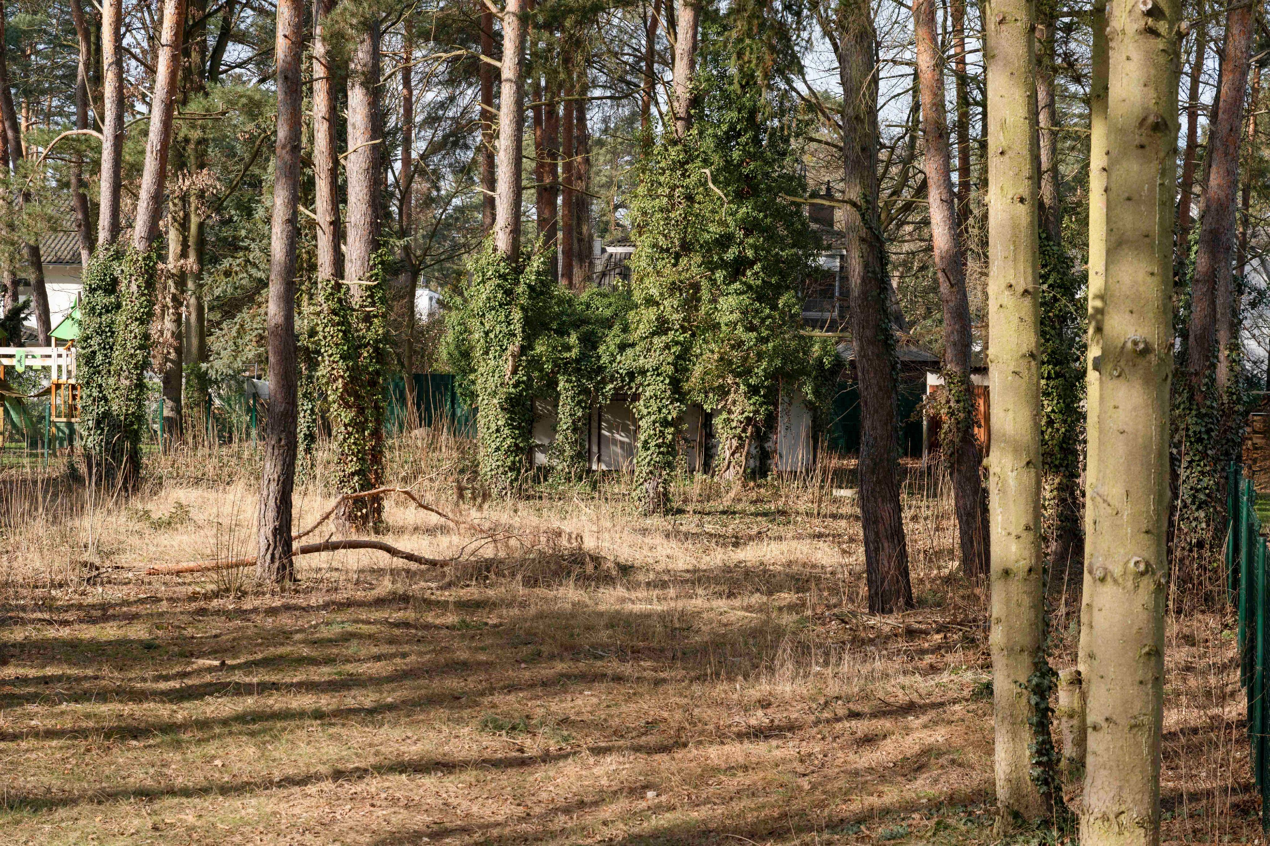 Bild 7