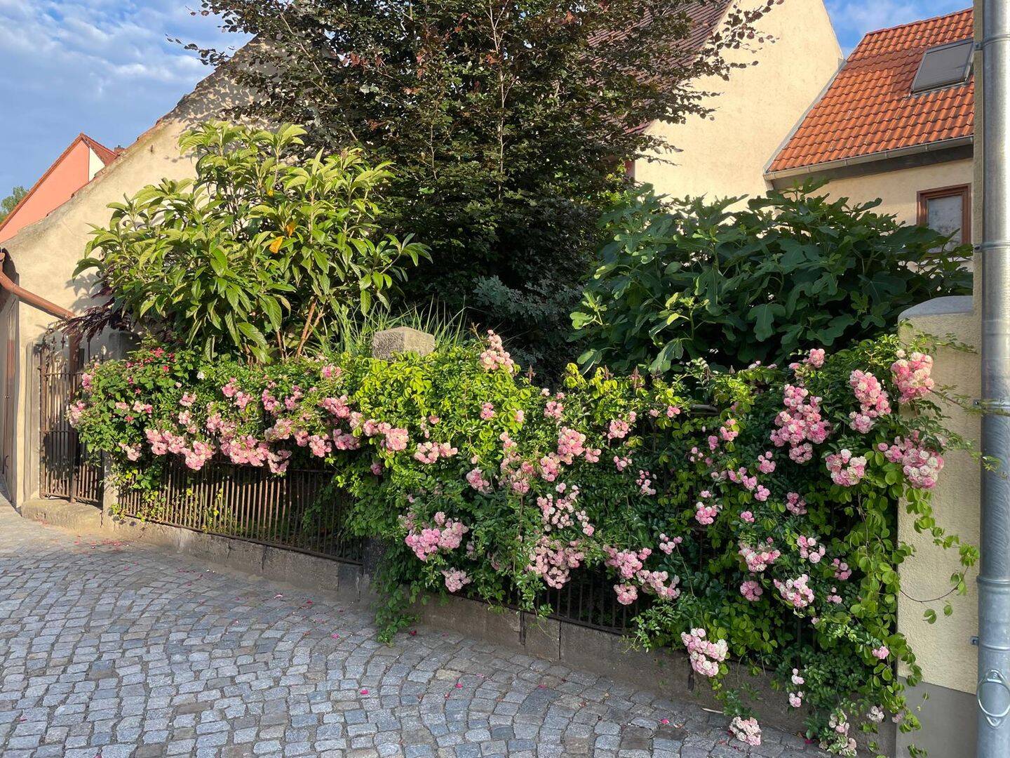 Bild 14