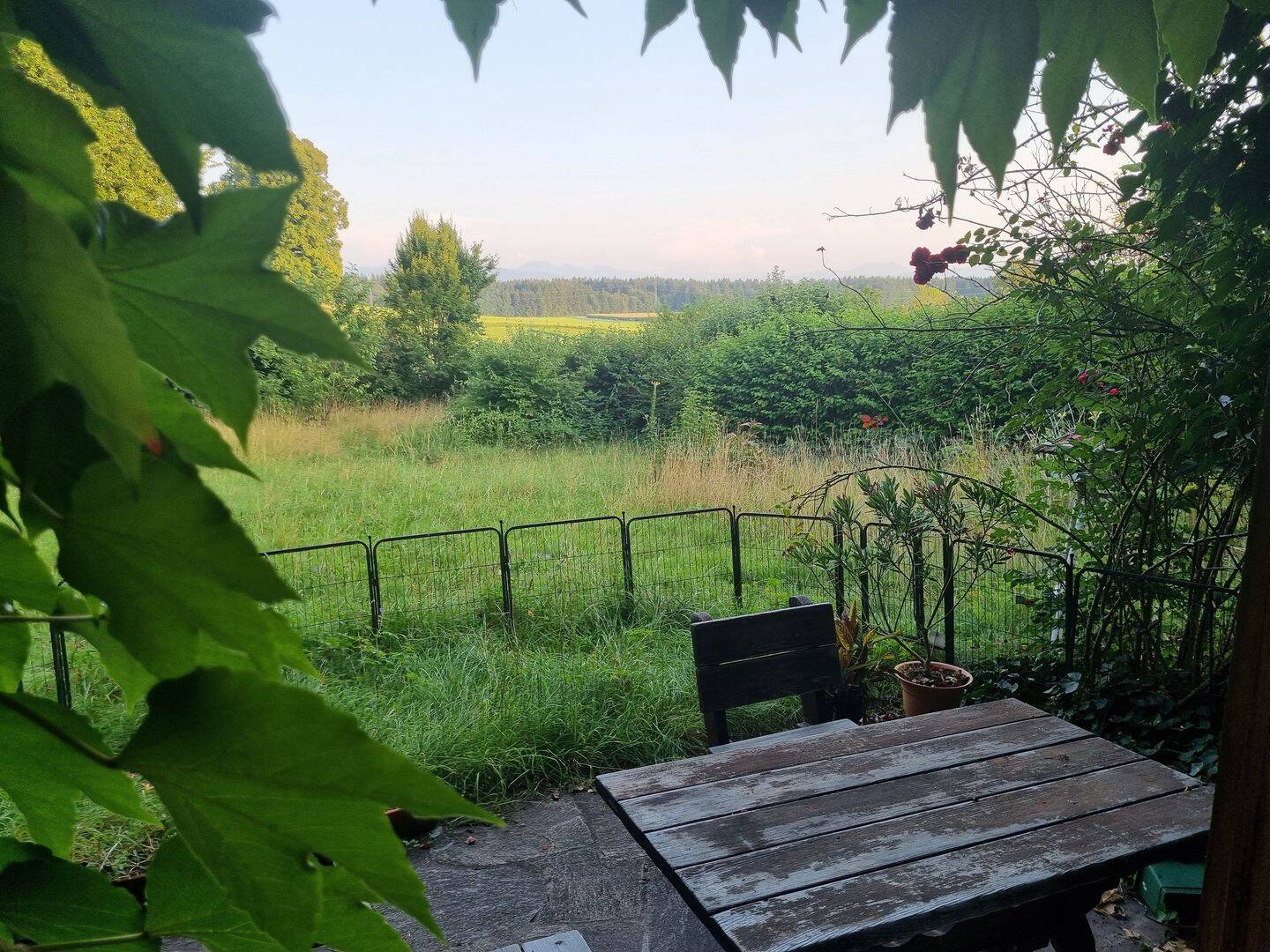 Bild 4