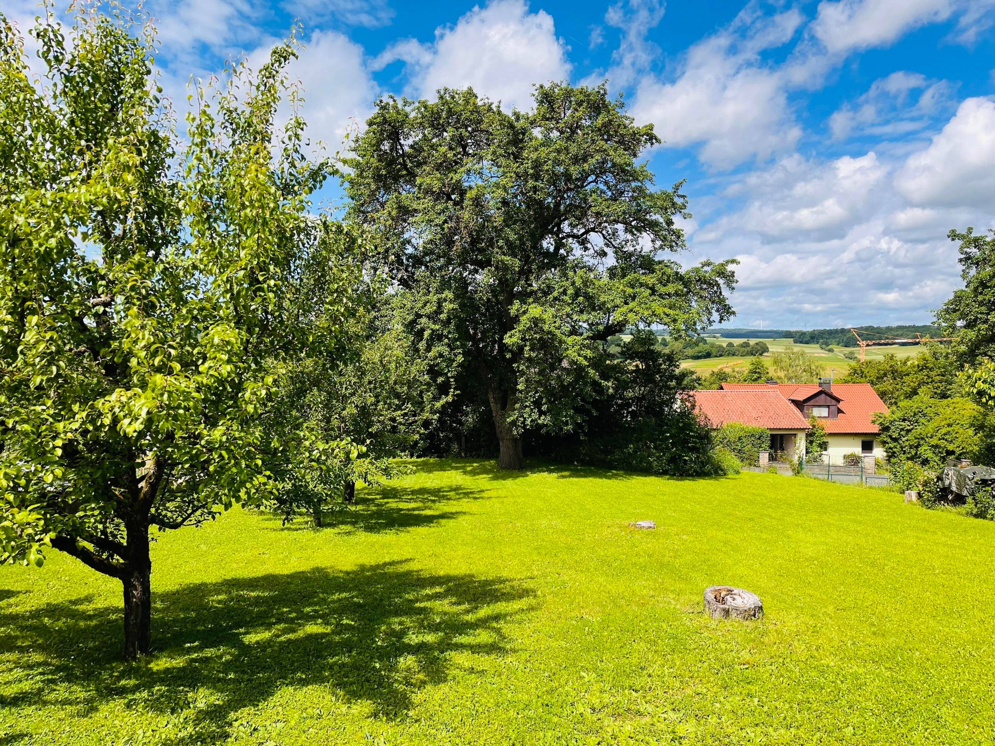 Bild 7
