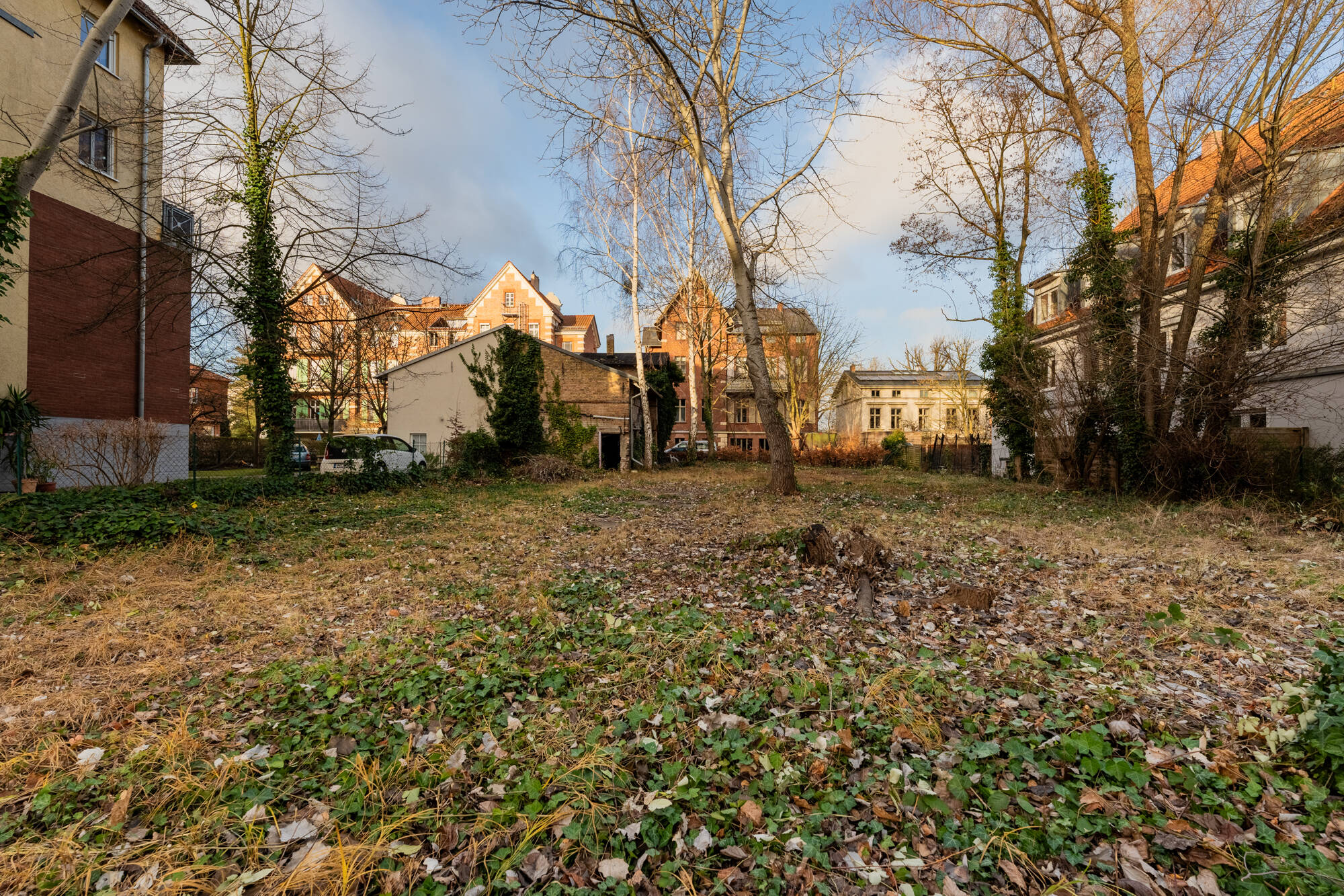 Bild 5