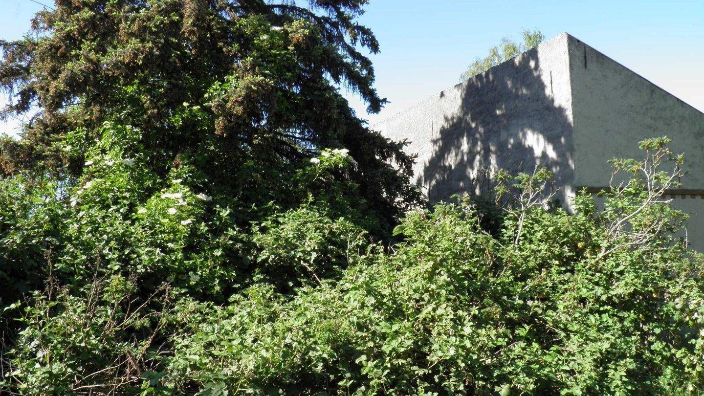 Bild 7
