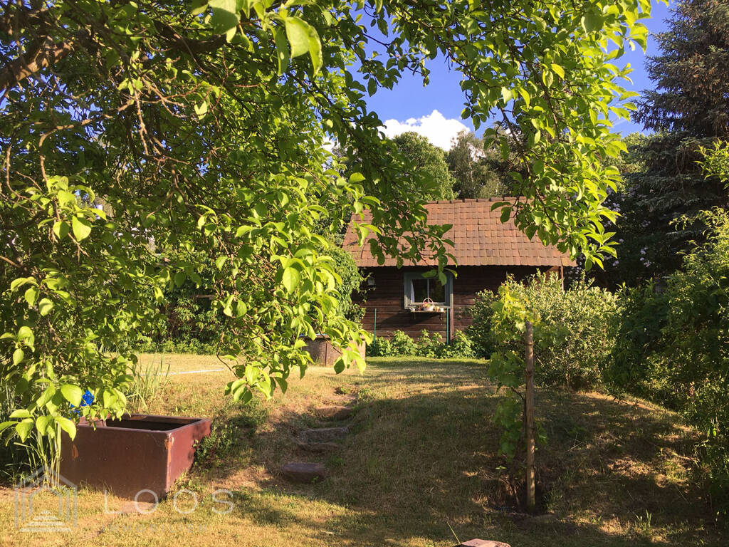 Bild 11