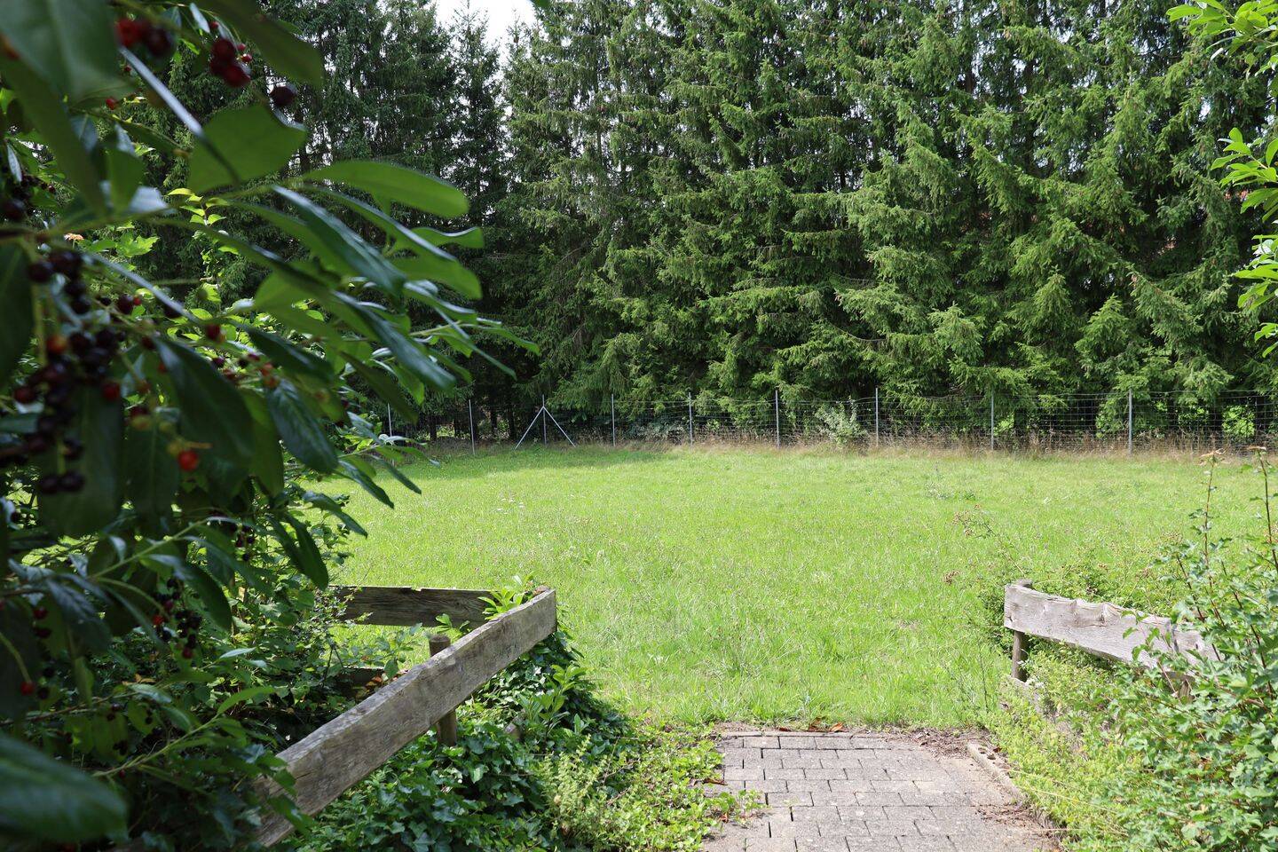 Bild 6