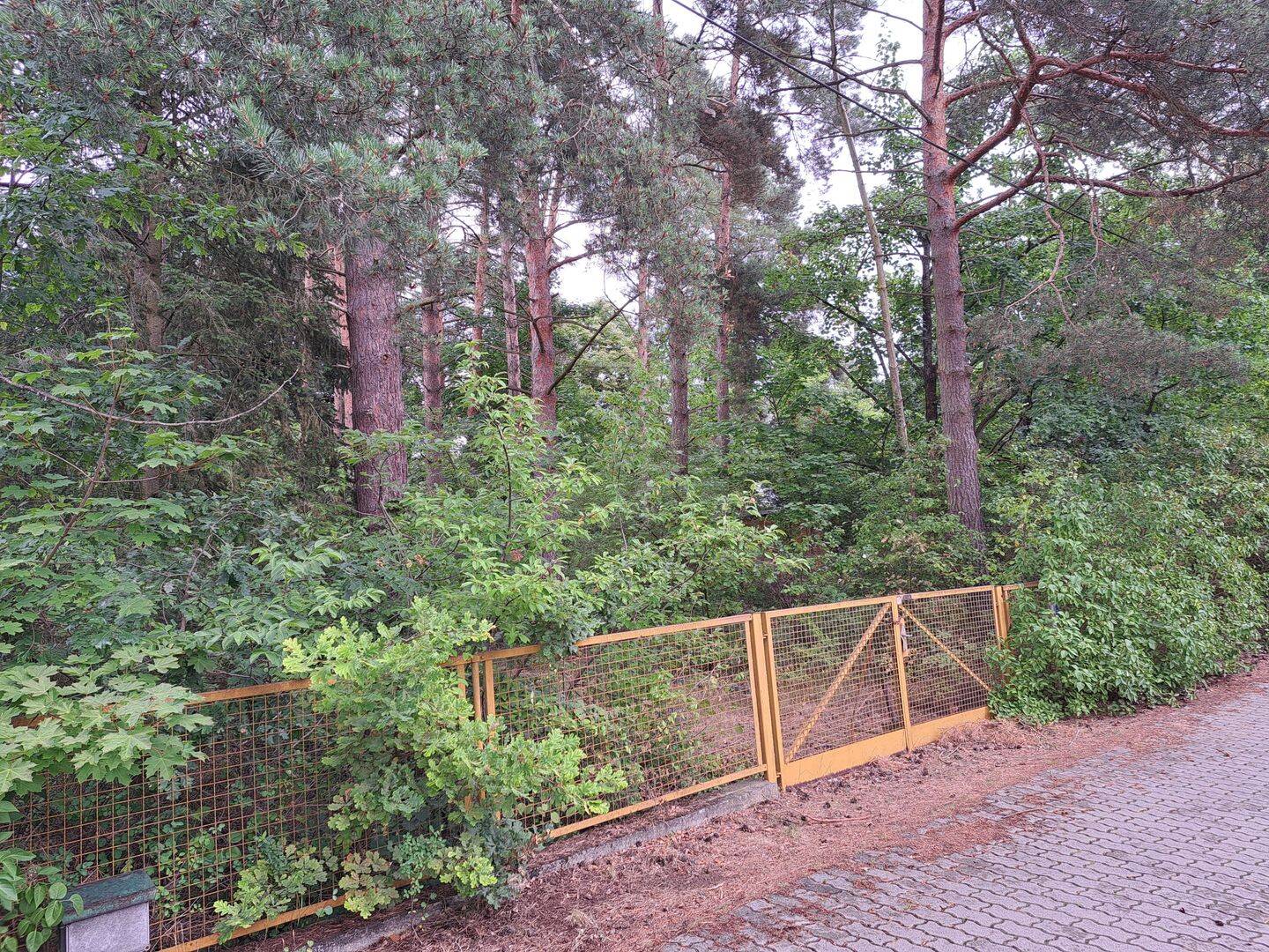 Bild 7