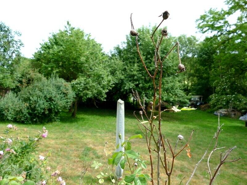Bild 8
