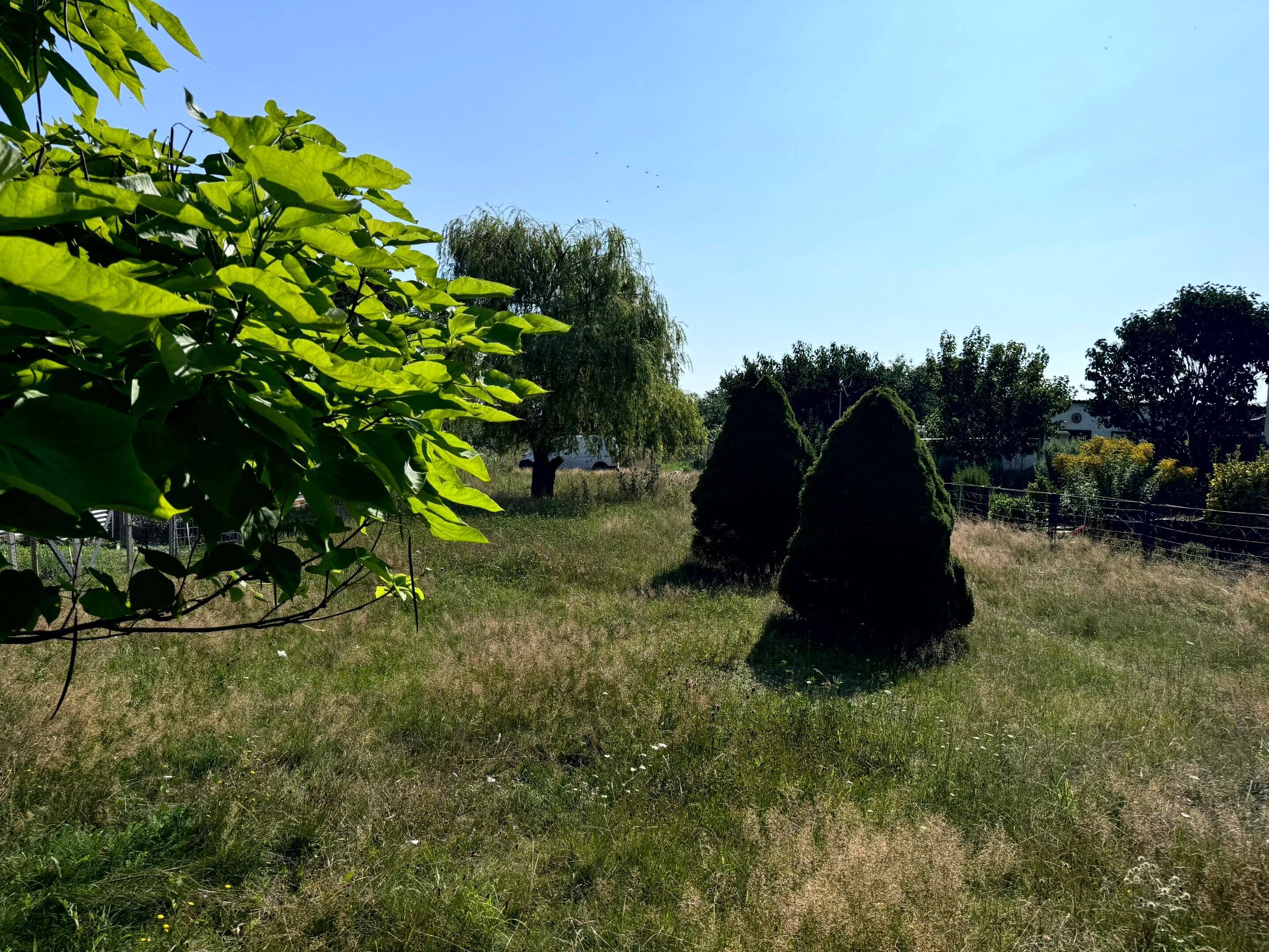 image-69963743