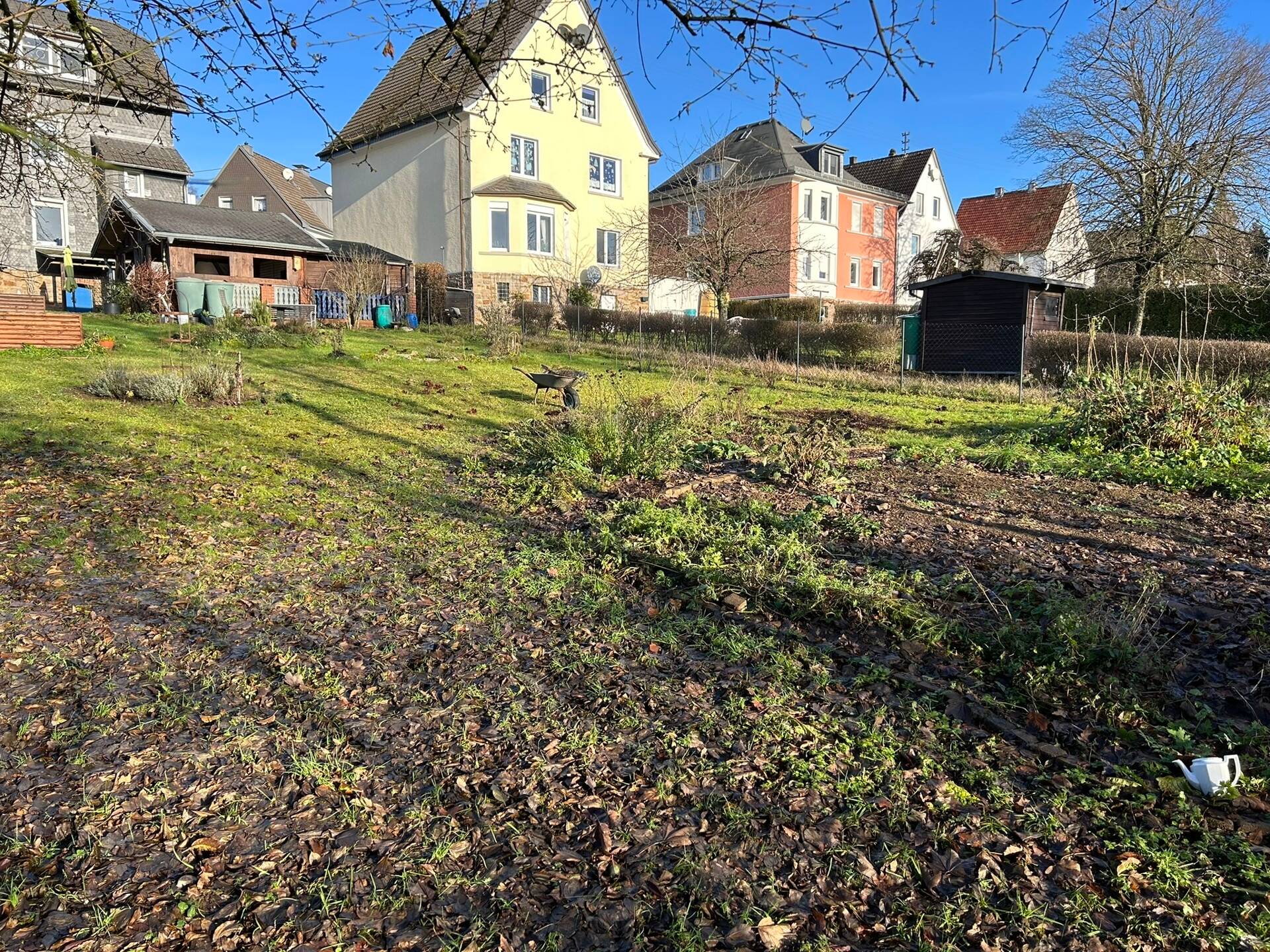 Bild 7