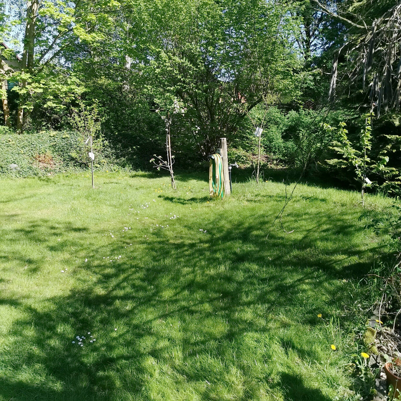 Bild 10