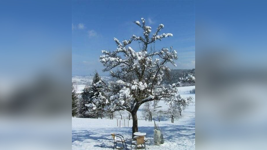 Bild 7