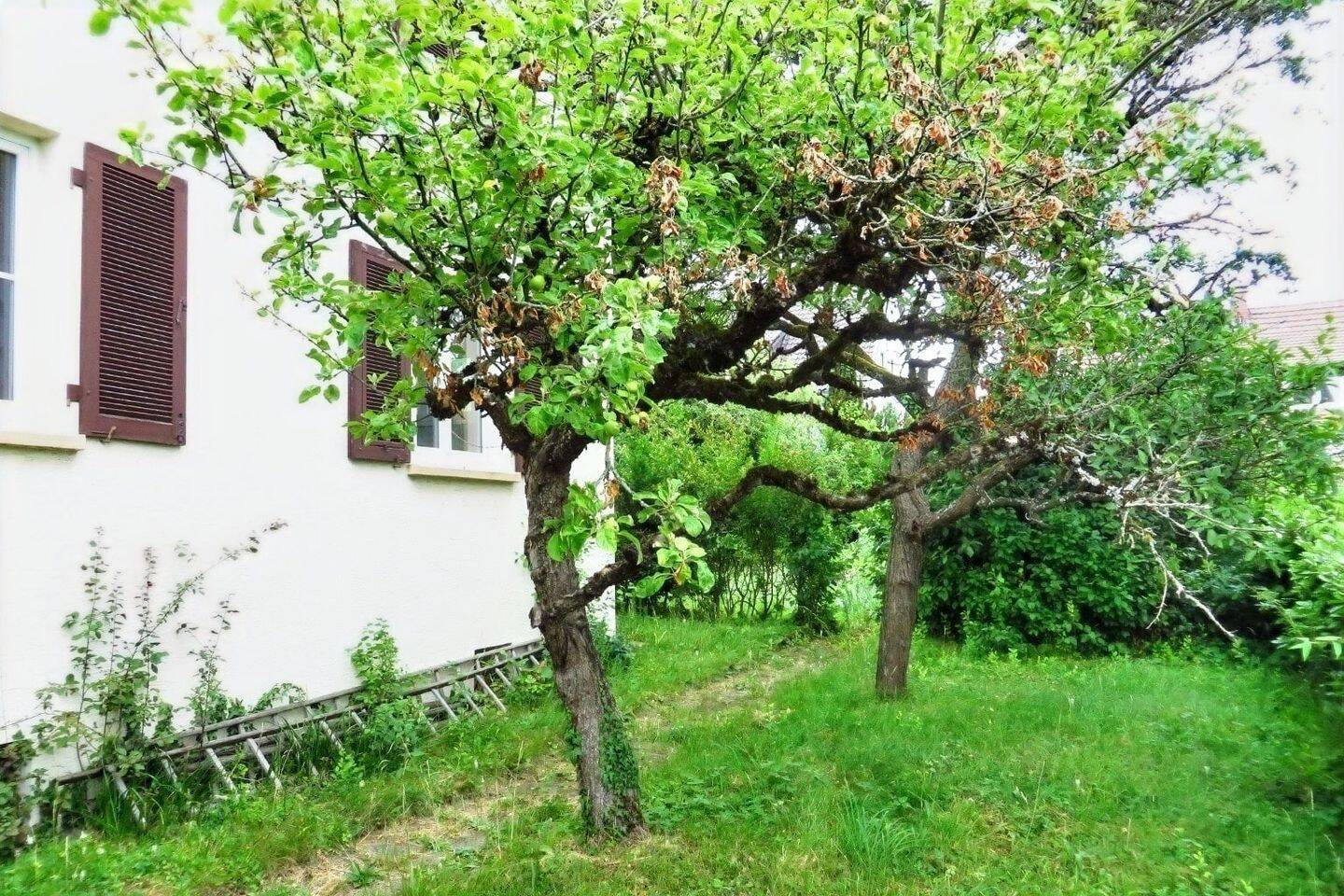 Bild 7