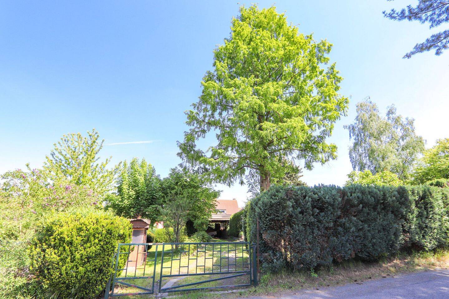 Bild 9